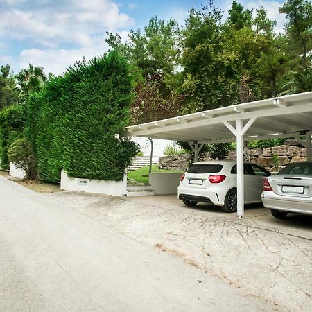 Ilianna Villa Sani  Dış mekan fotoğraf